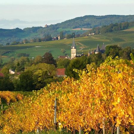 Gite Le Douglas, Vignoble Et Reculees Du Jura - Avec Sauna Lavigny Εξωτερικό φωτογραφία
