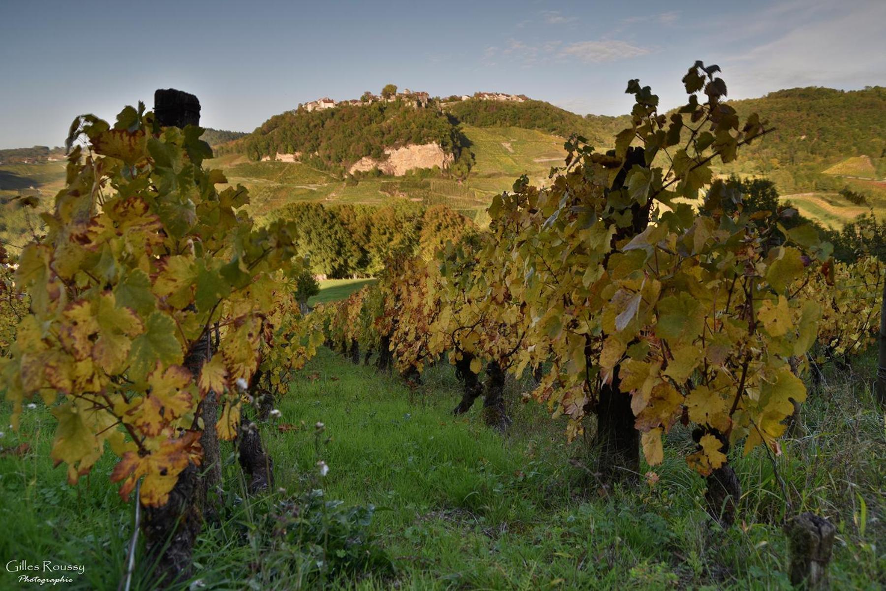 Gite Le Douglas, Vignoble Et Reculees Du Jura - Avec Sauna Lavigny Εξωτερικό φωτογραφία