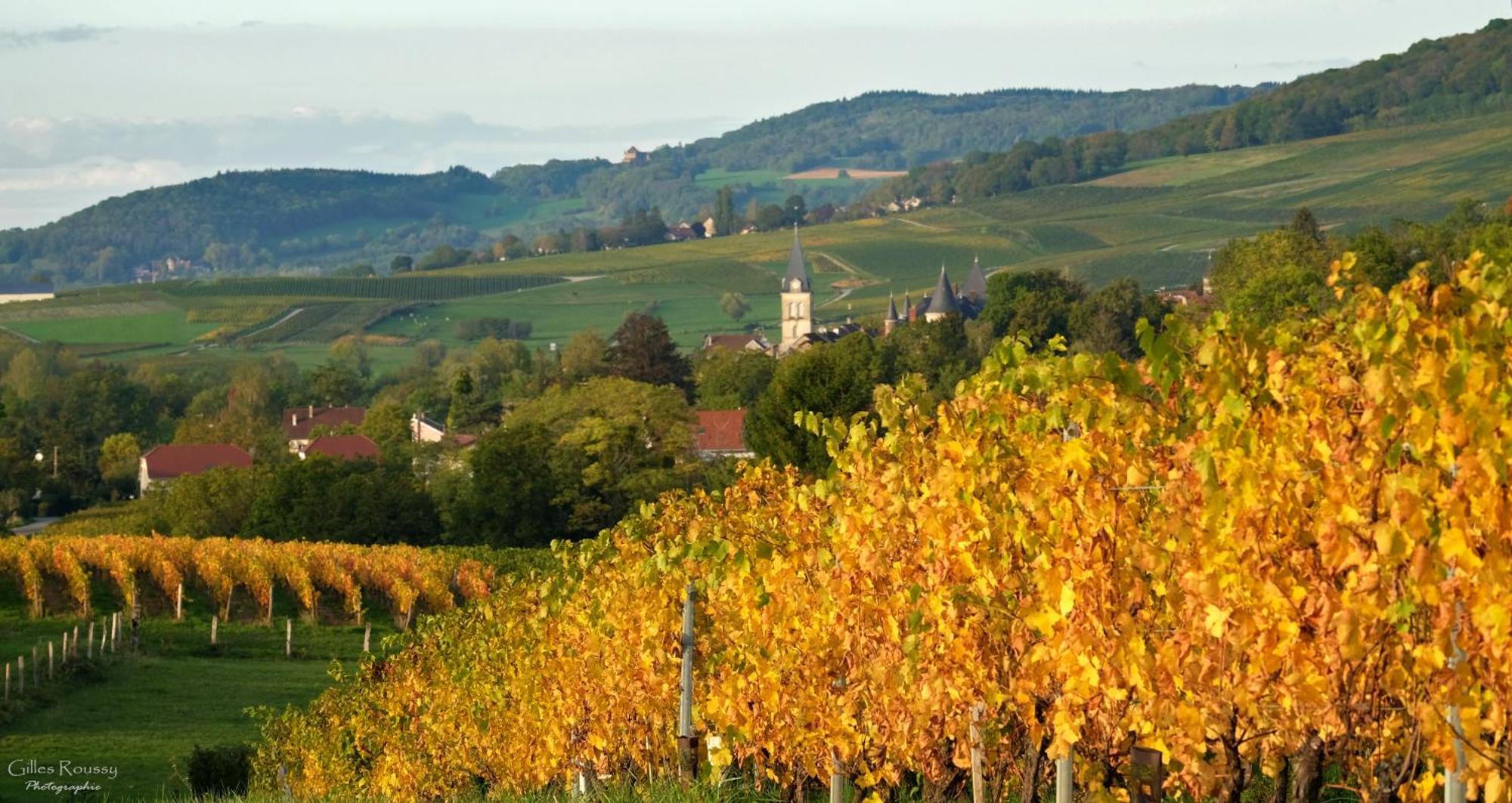 Gite Le Douglas, Vignoble Et Reculees Du Jura - Avec Sauna Lavigny Εξωτερικό φωτογραφία